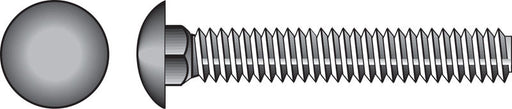 HILLMAN 0.375 in. X 1 in. L Stainless Steel Carriage Bolt 25 pk
