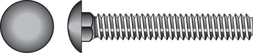 HILLMAN 0.375 in. X 3 in. L Stainless Steel Carriage Bolt 25 pk