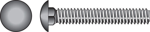 HILLMAN 3/8 in. X 3-1/2 in. L Stainless Steel Carriage Bolt 25 pk