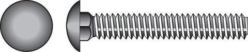 HILLMAN 1/2 in. X 2-1/2 in. L Stainless Steel Carriage Bolt 25 pk
