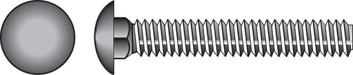 HILLMAN 1/2 in. X 6 in. L Zinc-Plated Stainless Steel Carriage Bolt 10 pk