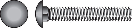 HILLMAN 5/16 in. X 3-1/2 in. L Stainless Steel Carriage Bolt 25 pk