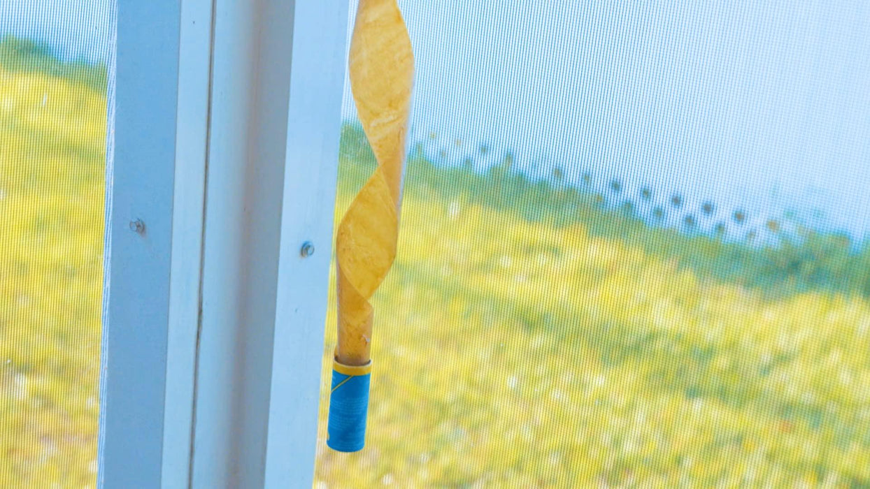 Raid FR3-RAID 4 Count Fly Catcher Ribbon