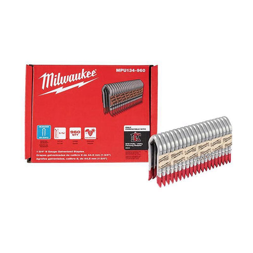 STAPLS GALVN 1-3/4960PK