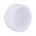 Charlotte Pipe Schedule 40 2-1/2 in. FPT PVC Cap 1 pk