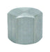 Anvil 1/4 in. FPT Malleable Iron Cap