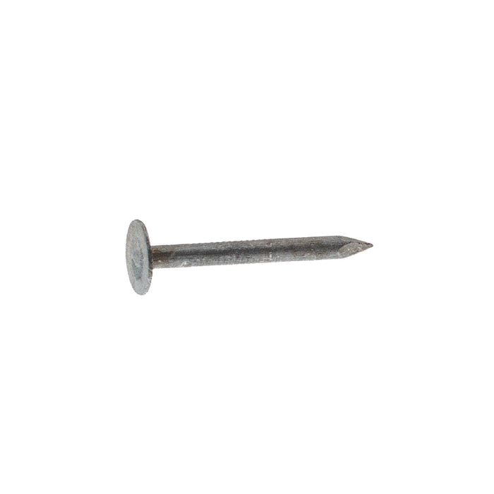 Grip-Rite 7/8 in. Roofing Electro-Galvanized Steel Nail Flat Head 1 lb