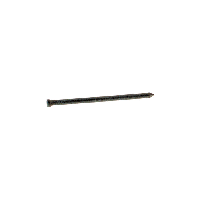 Grip-Rite 6D 2 in. Finishing Hot-Dipped Galvanized Steel Nail Brad Head 1 lb
