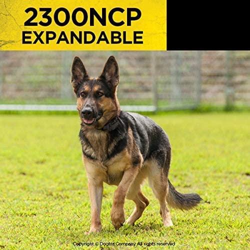 Dogtra 2300NCP Professional Grade High-Output 3/4-Mile 2-Dog Expandable Remote Training E-Collar
