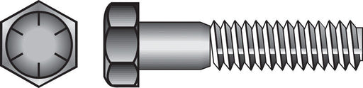 HILLMAN 3/4 in. D X 3 in. L Heat Treated Steel Hex Head Cap Screw 20 pk