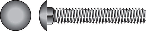 HILLMAN 5/16 in. X 7 in. L Zinc-Plated Steel Carriage Bolt 50 pk