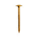 GRK Fasteners No. 8 X 1-3/4 in. L Star Coated W-Cut Cabinet Screws 100 pk