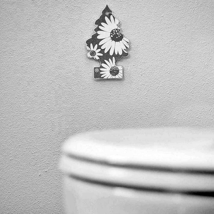 LITTLE TREES Car Freshner 10312, Strawberry