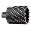 Milwaukee 1-13/16 in. HSS Annular Cutter 2 in. Depth, 49-59-2181
