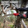 10" Folding Pruning Saw, 48-22-9371