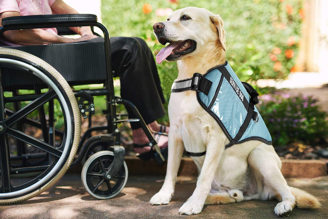 Paws & Pals Service Dog Vest Harness for Medium and Large Dogs of All Breed with Grip Handle, Reflective Safety Strap and Side Certification Display Pockets