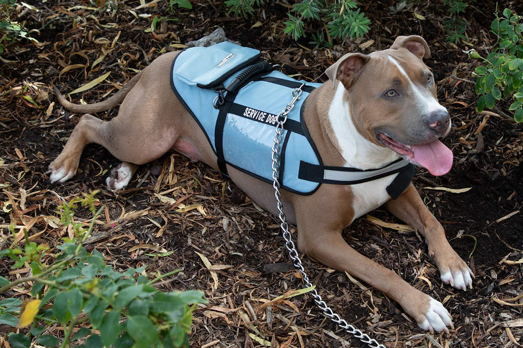 Paws & Pals Service Dog Vest Harness for Medium and Large Dogs of All Breed with Grip Handle, Reflective Safety Strap and Side Certification Display Pockets