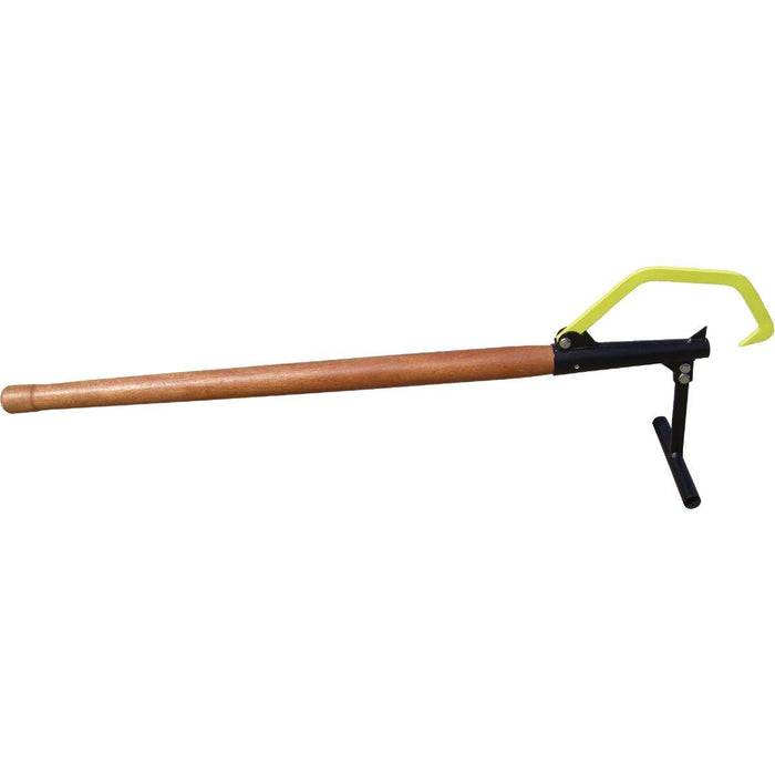 BACTMB-55
