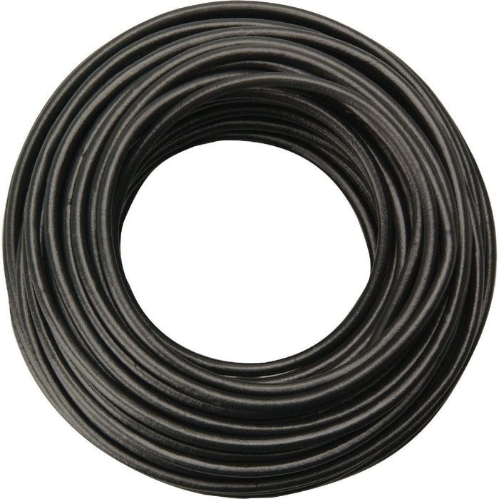 CCI55671833