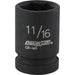 CHL313181