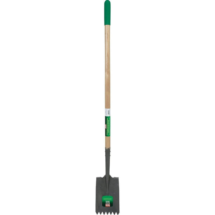 DIBYN-F2-1-1LC