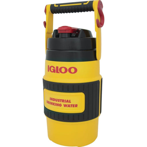 IGL31008