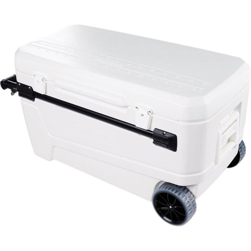 IGL50170